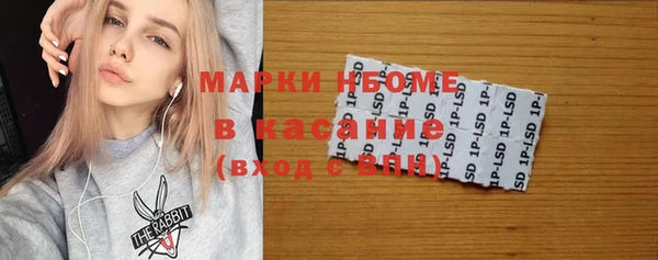 шишки Белоозёрский