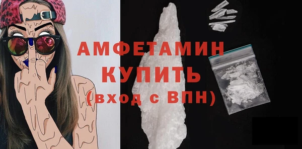 шишки Белоозёрский