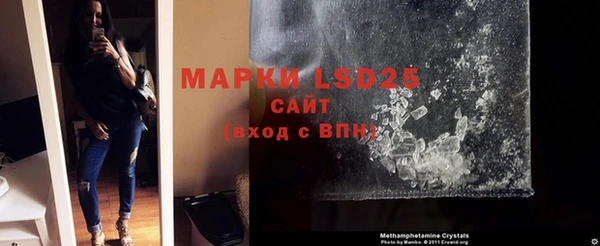 шишки Белоозёрский