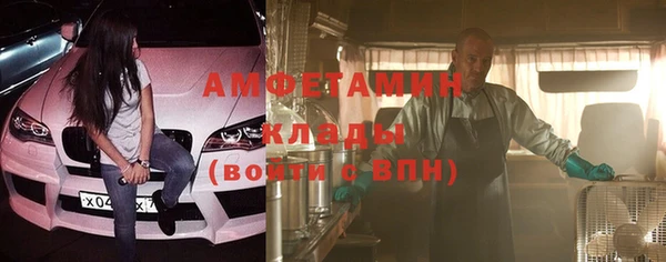 шишки Белоозёрский