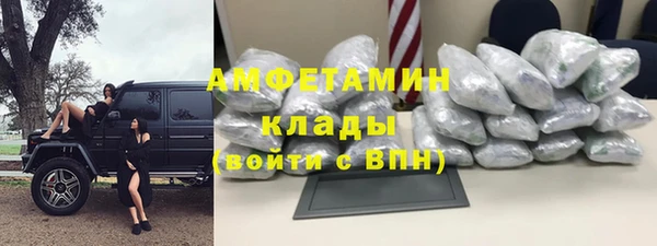 шишки Белоозёрский