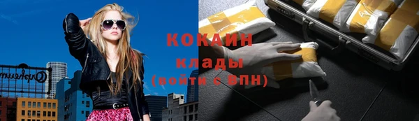 шишки Белоозёрский