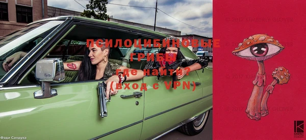 шишки Белоозёрский