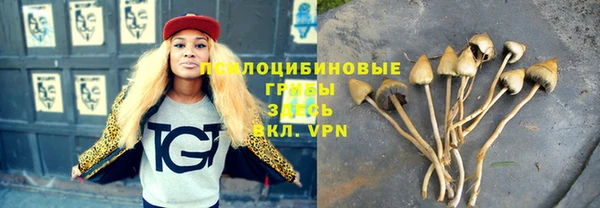 крисы Беломорск