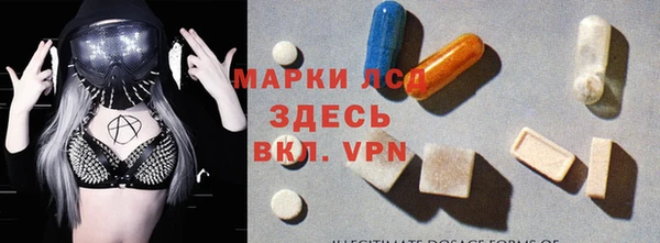шишки Белоозёрский
