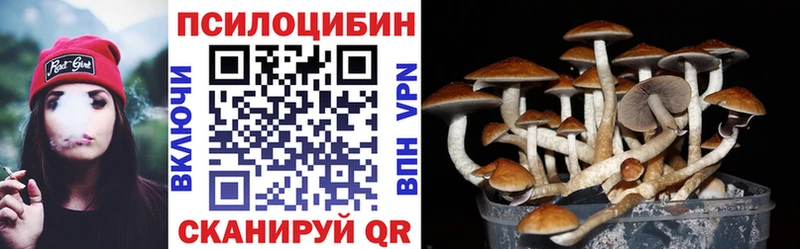 Галлюциногенные грибы Psilocybe  MEGA рабочий сайт  Пионерский 